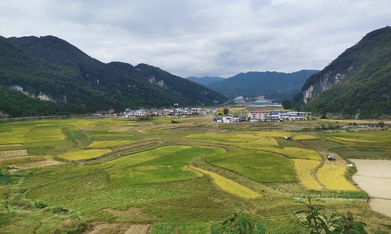 再度亮相第二十八屆聯合國氣候變化大會——華電運營向世界講述“綠色發展”故事